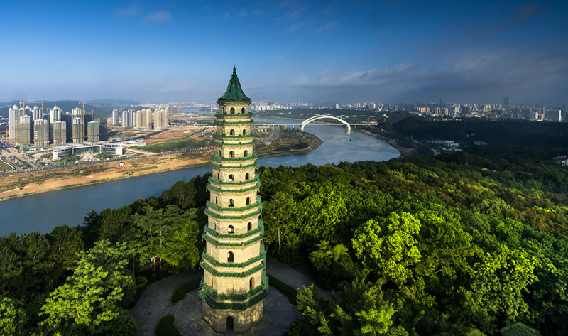 德扑之星 官方APP游戏下载